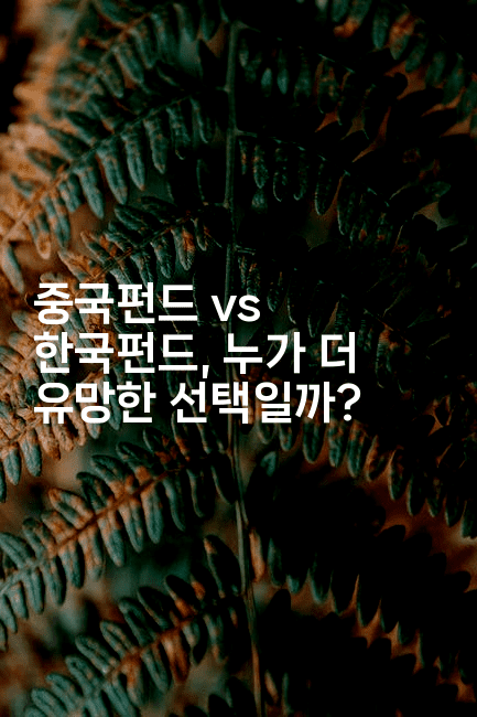 중국펀드 vs 한국펀드, 누가 더 유망한 선택일까?2-머니풀