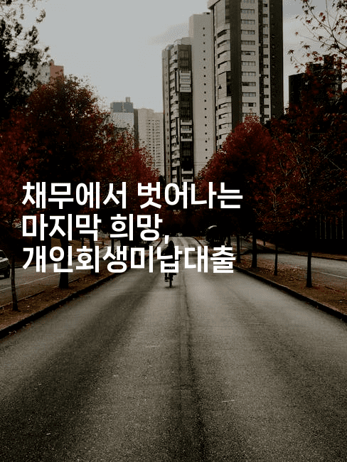 채무에서 벗어나는 마지막 희망, 개인회생미납대출-머니풀