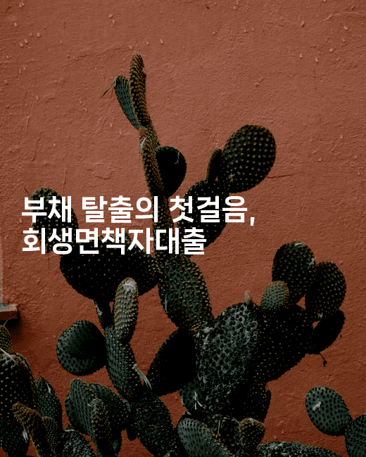 부채 탈출의 첫걸음, 회생면책자대출-머니풀