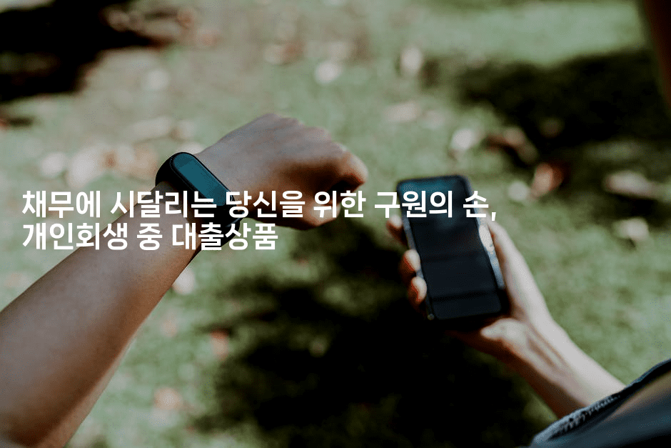 채무에 시달리는 당신을 위한 구원의 손, 개인회생 중 대출상품-머니풀