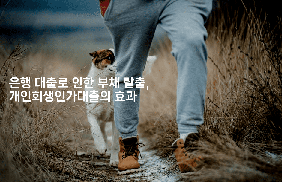 은행 대출로 인한 부채 탈출, 개인회생인가대출의 효과-머니풀